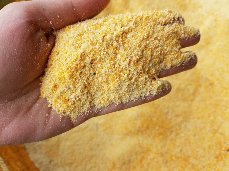 Corn Gluten Meal 60% Proteins: A High-Quality Plant Protein Source for Livestock